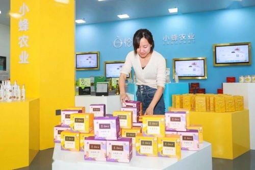 全面小康 一起幸福 立足受援地实际,沪疆产业协作综合效益不断提升